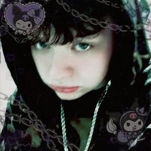 Meet your Posher, Niko